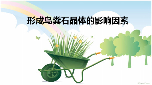 鸟粪石