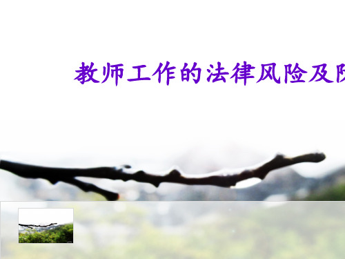 最新教师校长法治培训《教师工作的法律风险及防范》精品PPT教学课件