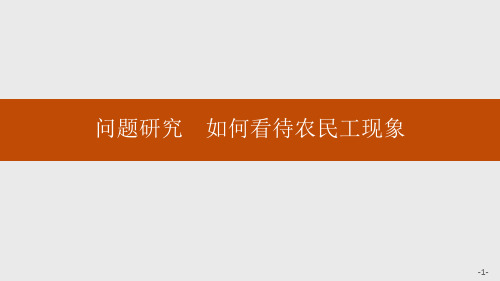 《问题研究 如何看待农民工现象》人口PPT课件