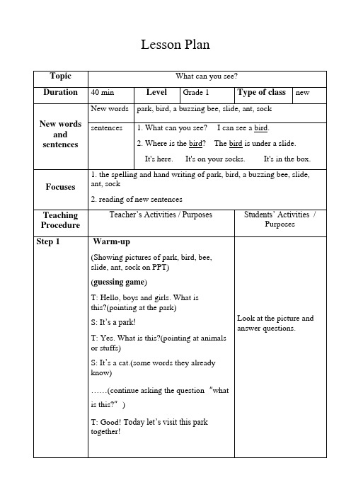 What can you see 教案