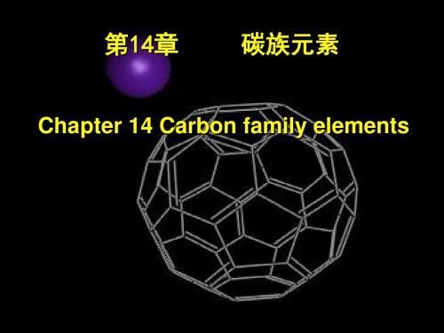 精编无机化学教学课件 14章 碳族元素