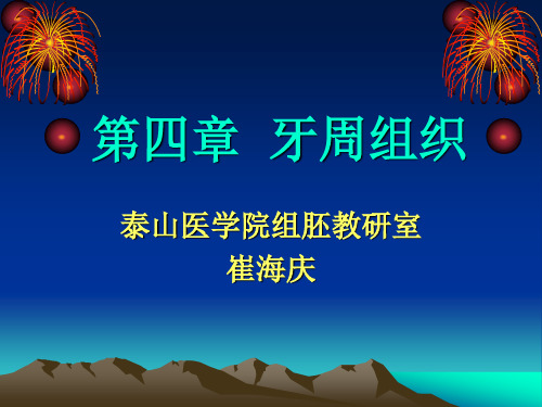 第4章牙周组织