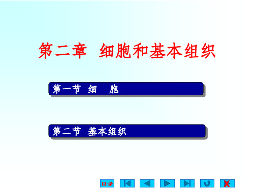 第2章 细胞和基本组织