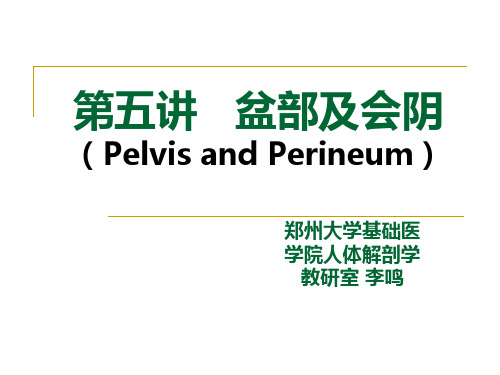 第五讲盆会阴局解