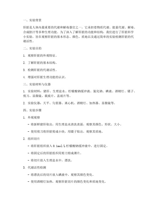 肝脏科学小实验实验报告