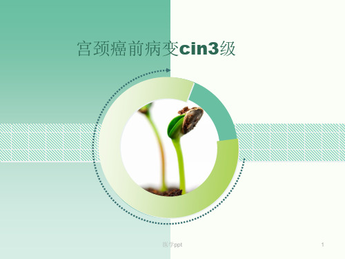 宫颈癌前病变cin3级