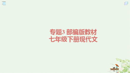 中考语文总复习PPT_专题 部编版教材年级下册现代文