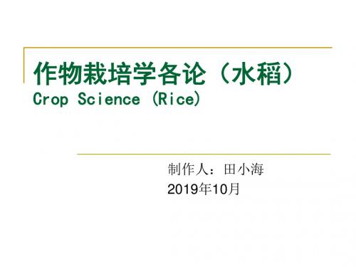 作物栽培学各论水稻CropScienceRice