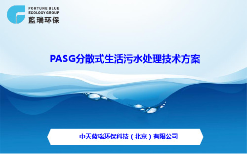 PASG技术(PPT)