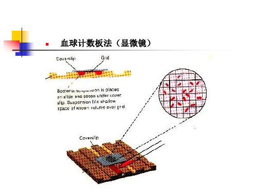 水处理生物学