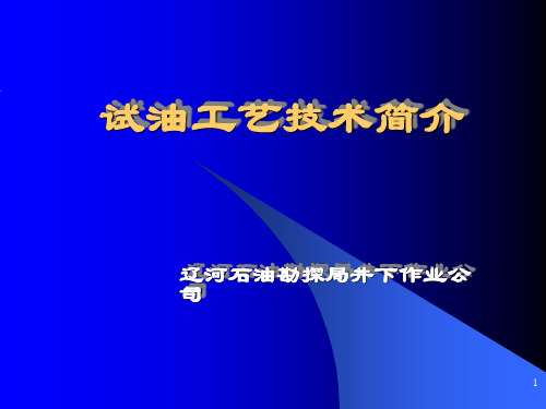 试油工艺技术简介PPT课件