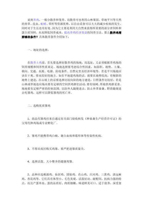 散养鸡需要哪些条件？