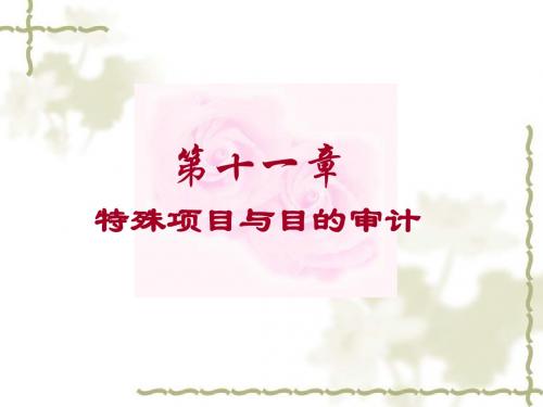 第十一章 特殊项目与目的审计