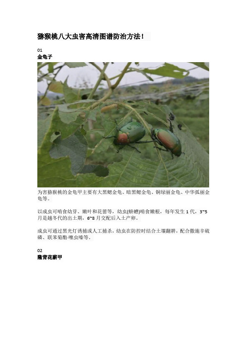 猕猴桃八大虫害高清图谱防治方法
