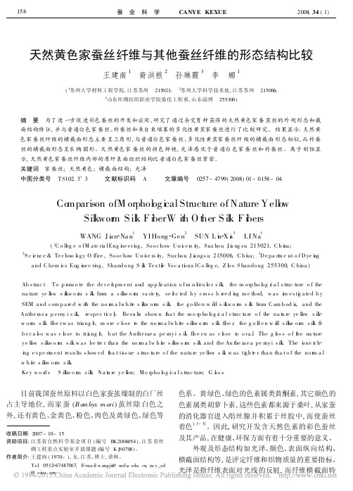 天然黄色家蚕丝纤维与其他蚕丝纤维的形态结构比较