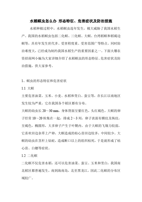 水稻螟虫怎么办 形态特征、危害症状及防治措施