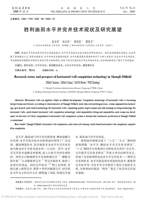 胜利油田水平井完井技术现状及研究展望_赵金洲