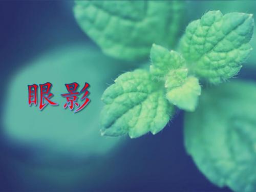 3.26 眼影