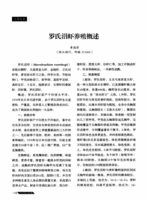 罗氏沼虾养殖概述