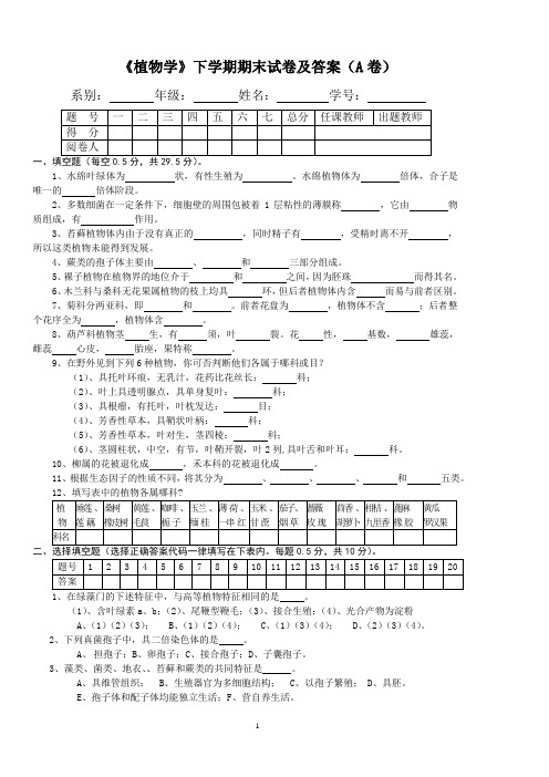 《植物学》下学期期末试卷及答案(A卷)