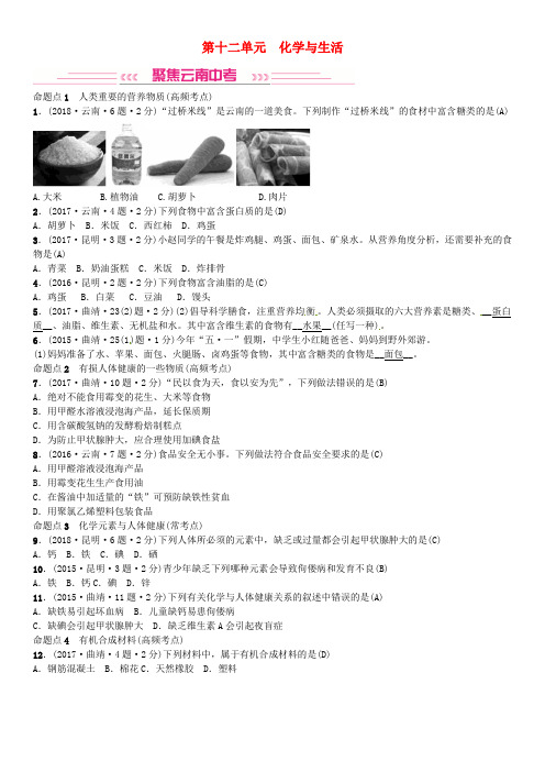 中考化学总复习教材考点归纳第十二单元化学与生活练习题云南版