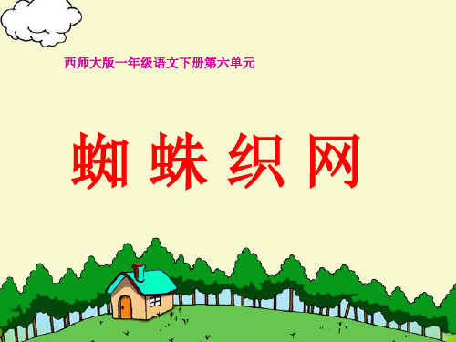中小学优质课件西师大版蜘蛛织网课件.ppt