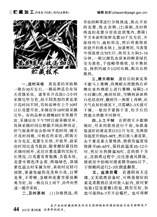 黄花菜采收与加工贮藏技术