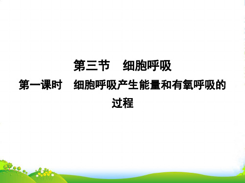 高中生物苏教版必修1课件：4.3.1 细胞呼吸产生能量和有氧呼吸的过程