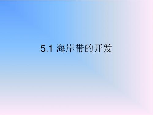 海岸带的开发 PPT课件 3 人教课标版