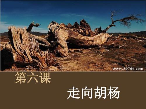 必修3走向胡杨ppt