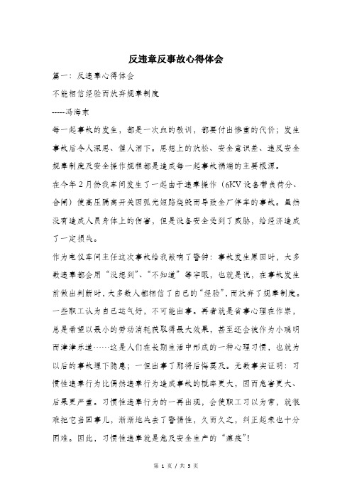 反违章反事故心得体会.doc