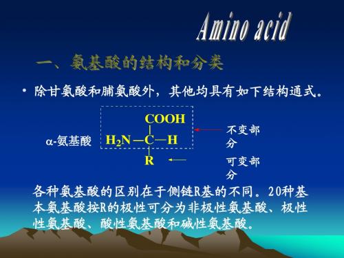 生化复习