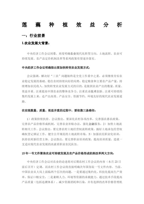 莲藕种植效益分析