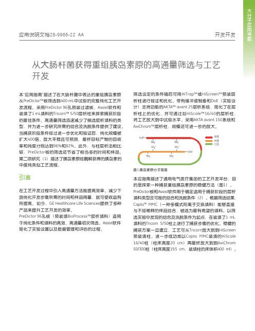 从大肠杆菌获得重组胰岛素原的高通量筛选与工艺开发
