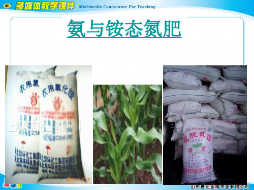 氨与铵态氮肥