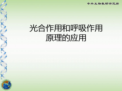 《光合作用和呼吸作用原理的应用》PPT课件