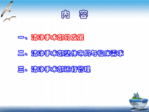 洁净手术部的布局及运行管理PPT课件