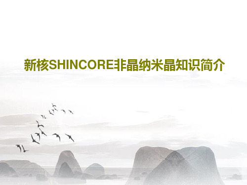 新核SHINCORE非晶纳米晶知识简介23页PPT