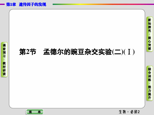 2.1.2孟德尔的豌豆杂交实验(二)Ⅰ(生物必修2课件)