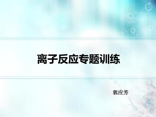 离子反应专题训练