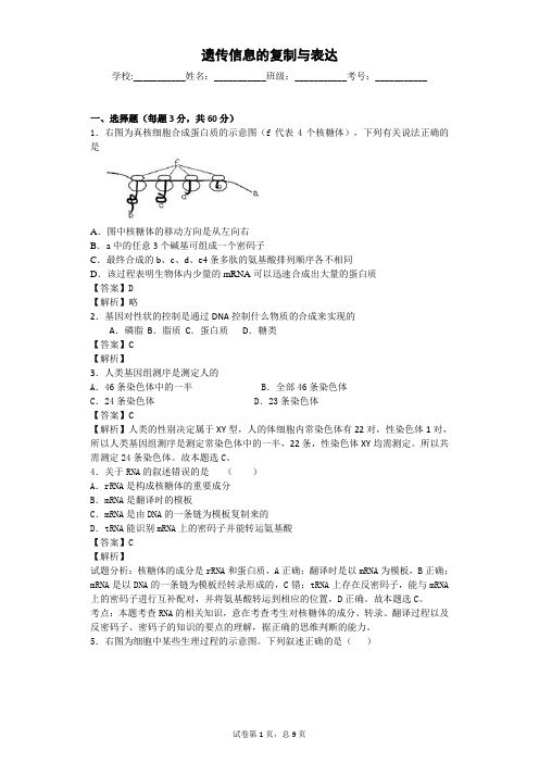 北师大版 遗传信息的复制与表达 单元测试6
