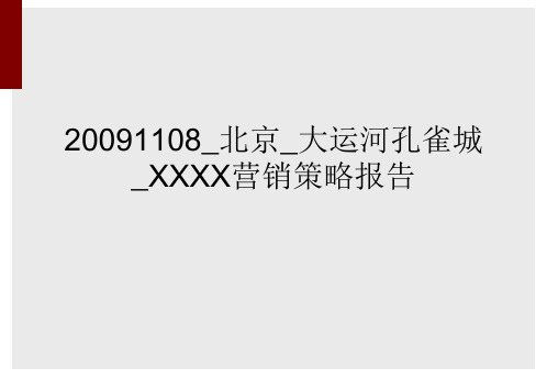 20091108_北京_大运河孔雀城_XXXX营销策略报告