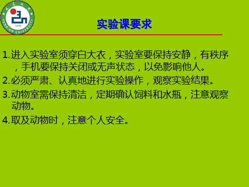 医学形态学——试验课