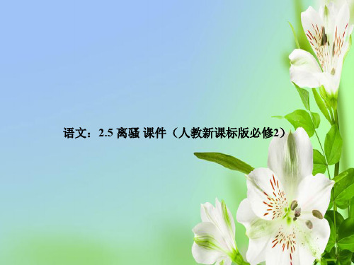 人教版高中语文必修二2.5离骚新课标课件