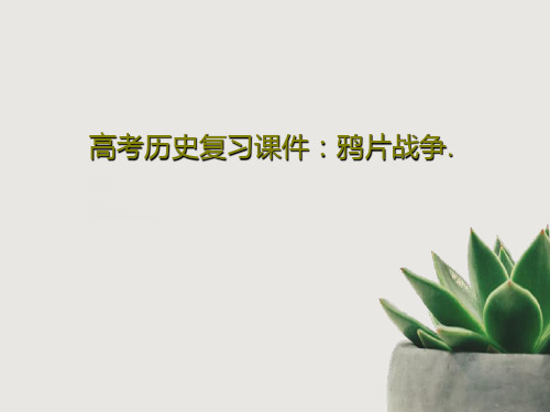 高考历史复习课件：鸦片战争.60页PPT
