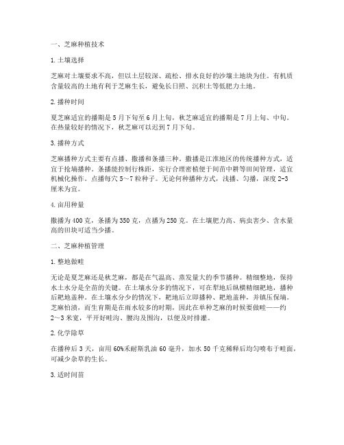 芝麻种植技术及管理