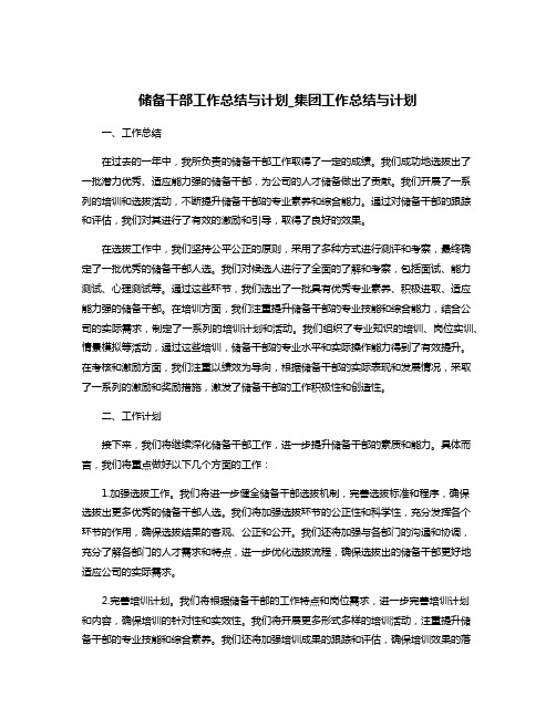 储备干部工作总结与计划_集团工作总结与计划