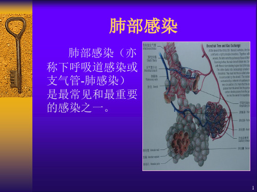 肺部感染ppt课件