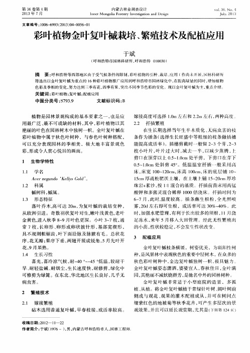彩叶植物金叶复叶槭栽培、繁殖技术及配植应用