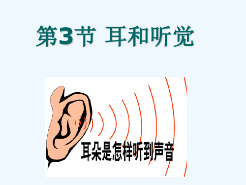 新浙教版23耳与听觉